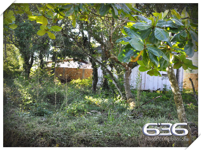 Terreno - Pinheiros - Balneário Barra do Sul