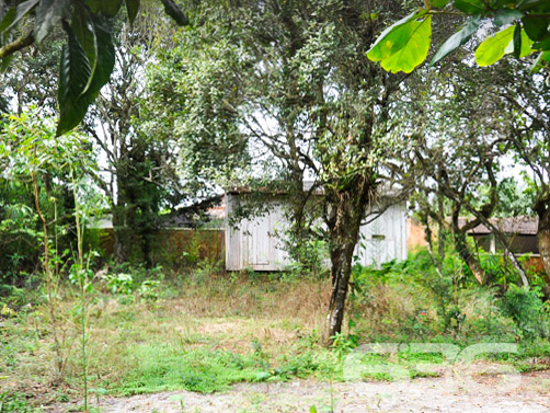 Terreno - Pinheiros - Balneário Barra do Sul