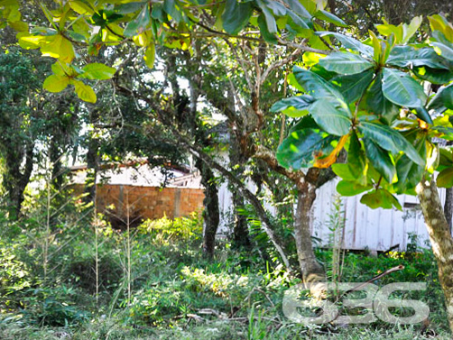 Terreno - Pinheiros - Balneário Barra do Sul