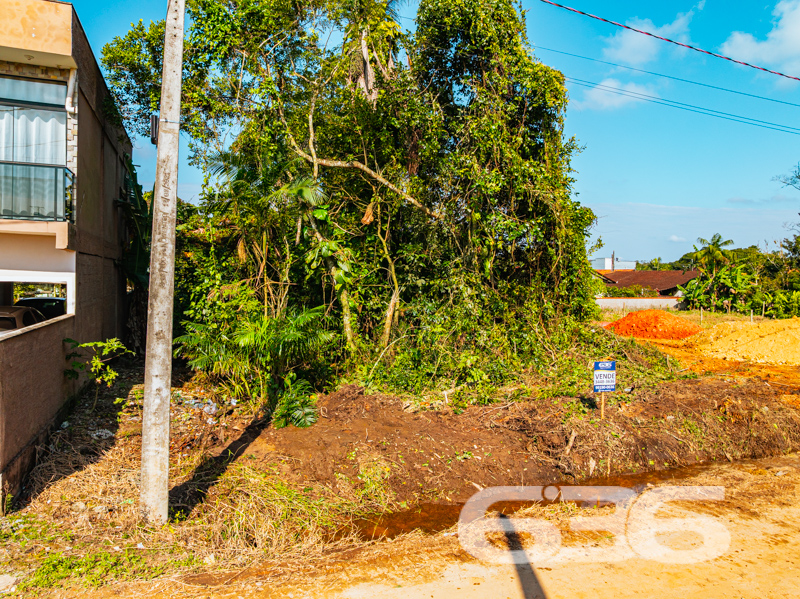 Terreno à Venda em Balneário Barra do Sul – Seu Refúgio na Praia Espera por Você!
Se você sonha em construir um recanto exclusivo, próximo à natureza, e ainda desfrutar da tranquilidade de uma cidade litorânea em crescimento, a sua busca acaba aqui. Apresentamos um terreno único na região da Costeira, em Balneário Barra do Sul.
Com uma localização privilegiada, este terreno está imerso na beleza e serenidade de um dos locais mais charmosos da cidade. Situado a apenas 200 metros da deslumbrante lagoa da Costeira, aqui você pode desfrutar do melhor que a natureza tem a oferecer, com oportunidades infinitas de lazer e relaxamento.
Imagine a possibilidade de acordar todos os dias com o perfume do mar e a proximidade com a lagoa, proporcionando momentos inesquecíveis de lazer para toda a família. Este terreno oferece a você o potencial infinito para criar uma casa dos sonhos, refletindo o conforto e a exclusividade que tanto almeja.
Por que investir em Balneário Barra do Sul?
Reconhecida por suas praias de beleza singular e pela riqueza ecológica, a cidade está em pleno desenvolvimento, com valorização constante dos imóveis. Ideal tanto para quem deseja morar quanto para investidores que visam lucrar com o crescimento da região.
Não perca esta oportunidade única de garantir um espaço em uma das áreas mais promissoras do litoral catarinense. Proporcione a si mesmo um novo padrão de qualidade de vida, com a liberdade de projetar conforme seus sonhos e necessidades.
Entre em contato conosco para agendar a sua visita. A 636 Negócios Imobiliários está pronta para ajudar você a realizar sua próxima grande aquisição! Seja para morar ou investir, este é o terreno que você procurava. Vamos, juntos, construir seu futuro!
636 NEGÓCIOS IMOBILIÁRIOS: A SUA MELHOR ESCOLHA
Com mais de 30 anos de experiência, a 636 Negócios Imobiliários é sua parceira ideal para encontrar o imóvel perfeito. Estamos prontos para ajudá-lo a fazer deste imóvel o seu novo lar.
Telefone: (47) 3451-0636
WhatsApp: (47) 99190-0636
Não perca esta oportunidade única. Visite nosso site para mais informações: i636.com.br