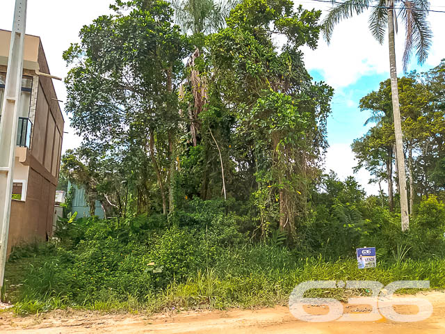 Terreno à Venda em Balneário Barra do Sul – Seu Refúgio na Praia Espera por Você!
Se você sonha em construir um recanto exclusivo, próximo à natureza, e ainda desfrutar da tranquilidade de uma cidade litorânea em crescimento, a sua busca acaba aqui. Apresentamos um terreno único na região da Costeira, em Balneário Barra do Sul.
Com uma localização privilegiada, este terreno está imerso na beleza e serenidade de um dos locais mais charmosos da cidade. Situado a apenas 200 metros da deslumbrante lagoa da Costeira, aqui você pode desfrutar do melhor que a natureza tem a oferecer, com oportunidades infinitas de lazer e relaxamento.
Imagine a possibilidade de acordar todos os dias com o perfume do mar e a proximidade com a lagoa, proporcionando momentos inesquecíveis de lazer para toda a família. Este terreno oferece a você o potencial infinito para criar uma casa dos sonhos, refletindo o conforto e a exclusividade que tanto almeja.
Por que investir em Balneário Barra do Sul?
Reconhecida por suas praias de beleza singular e pela riqueza ecológica, a cidade está em pleno desenvolvimento, com valorização constante dos imóveis. Ideal tanto para quem deseja morar quanto para investidores que visam lucrar com o crescimento da região.
Não perca esta oportunidade única de garantir um espaço em uma das áreas mais promissoras do litoral catarinense. Proporcione a si mesmo um novo padrão de qualidade de vida, com a liberdade de projetar conforme seus sonhos e necessidades.
Entre em contato conosco para agendar a sua visita. A 636 Negócios Imobiliários está pronta para ajudar você a realizar sua próxima grande aquisição! Seja para morar ou investir, este é o terreno que você procurava. Vamos, juntos, construir seu futuro!
636 NEGÓCIOS IMOBILIÁRIOS: A SUA MELHOR ESCOLHA
Com mais de 30 anos de experiência, a 636 Negócios Imobiliários é sua parceira ideal para encontrar o imóvel perfeito. Estamos prontos para ajudá-lo a fazer deste imóvel o seu novo lar.
Telefone: (47) 3451-0636
WhatsApp: (47) 99190-0636
Não perca esta oportunidade única. Visite nosso site para mais informações: i636.com.br