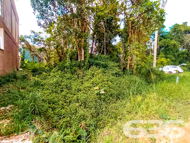 Terreno à Venda em Balneário Barra do Sul – Seu Refúgio na Praia Espera por Você!
Se você sonha em construir um recanto exclusivo, próximo à natureza, e ainda desfrutar da tranquilidade de uma cidade litorânea em crescimento, a sua busca acaba aqui. Apresentamos um terreno único na região da Costeira, em Balneário Barra do Sul.
Com uma localização privilegiada, este terreno está imerso na beleza e serenidade de um dos locais mais charmosos da cidade. Situado a apenas 200 metros da deslumbrante lagoa da Costeira, aqui você pode desfrutar do melhor que a natureza tem a oferecer, com oportunidades infinitas de lazer e relaxamento.
Imagine a possibilidade de acordar todos os dias com o perfume do mar e a proximidade com a lagoa, proporcionando momentos inesquecíveis de lazer para toda a família. Este terreno oferece a você o potencial infinito para criar uma casa dos sonhos, refletindo o conforto e a exclusividade que tanto almeja.
Por que investir em Balneário Barra do Sul?
Reconhecida por suas praias de beleza singular e pela riqueza ecológica, a cidade está em pleno desenvolvimento, com valorização constante dos imóveis. Ideal tanto para quem deseja morar quanto para investidores que visam lucrar com o crescimento da região.
Não perca esta oportunidade única de garantir um espaço em uma das áreas mais promissoras do litoral catarinense. Proporcione a si mesmo um novo padrão de qualidade de vida, com a liberdade de projetar conforme seus sonhos e necessidades.
Entre em contato conosco para agendar a sua visita. A 636 Negócios Imobiliários está pronta para ajudar você a realizar sua próxima grande aquisição! Seja para morar ou investir, este é o terreno que você procurava. Vamos, juntos, construir seu futuro!
636 NEGÓCIOS IMOBILIÁRIOS: A SUA MELHOR ESCOLHA
Com mais de 30 anos de experiência, a 636 Negócios Imobiliários é sua parceira ideal para encontrar o imóvel perfeito. Estamos prontos para ajudá-lo a fazer deste imóvel o seu novo lar.
Telefone: (47) 3451-0636
WhatsApp: (47) 99190-0636
Não perca esta oportunidade única. Visite nosso site para mais informações: i636.com.br