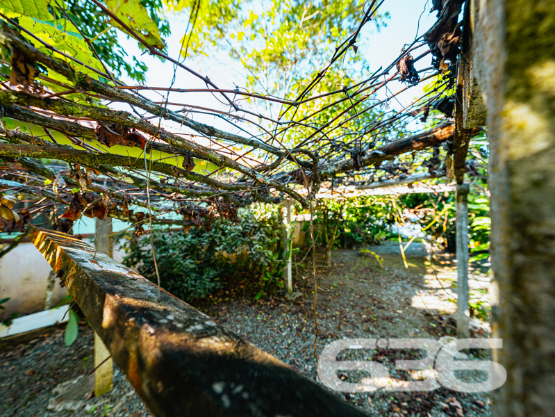 Seu refúgio acolhedor em Balneário Barra do Sul/SC – Bairro Costeira!
Imagine uma casa que carrega a essência do tempo da vovó: café passado na hora, tranquilidade no ar e o som das árvores balançando com a brisa da lagoa. Esta residência térrea, oferece exatamente isso – um lar cheio de memórias e possibilidades, a apenas 300 metros da lagoa.
Com 160m² de área construída em um terreno plano de 405m², a propriedade está situada em uma rua tranquila, com vizinhos moradores fixos, face norte e topografia regular.
A casa principal é composta por:
3 dormitórios arejados e com boa iluminação natural;
2 banheiros funcionais;
Sala de estar aconchegante;
Cozinha prática e bem distribuída;
Área de serviço;
Garagem coberta para 2 veículos;
Jardim com plantas e canteiros que transmitem vida;
Imóvel murado/cercado com conexão de internet por fibra ótica.
Nos fundos, um verdadeiro diferencial: uma construção complementar com grande potencial! No térreo, conta com uma sala, copa e banheiro social. No piso superior (em madeira), há dois quartos adicionais. Ideal para adaptar como uma segunda moradia, criar uma edícula independente ou rentabilizar com aluguel por temporada.
São, ao todo, 5 dormitórios e 3 banheiros entre as duas estruturas. É o tipo de imóvel versátil que se adapta às mais diversas necessidades familiares ou oportunidades de renda.
Com a solidez de quem atua há mais de 30 anos com excelência técnica e jurídica em Balneário Barra do Sul, a 636 Negócios Imobiliários oferece esta oportunidade única para quem busca um lar com alma, história e grande potencial.
636 NEGÓCIOS IMOBILIÁRIOS: A SUA MELHOR ESCOLHA
Com mais de 30 anos de experiência, a 636 Negócios Imobiliários é sua parceira ideal para encontrar o imóvel perfeito. Estamos prontos para ajudá-lo a fazer deste imóvel o seu novo lar.
Telefone: (47) 3451-0636
WhatsApp: (47) 99190-0636
Não perca esta oportunidade única. Visite nosso site para mais informações: i636.com.br