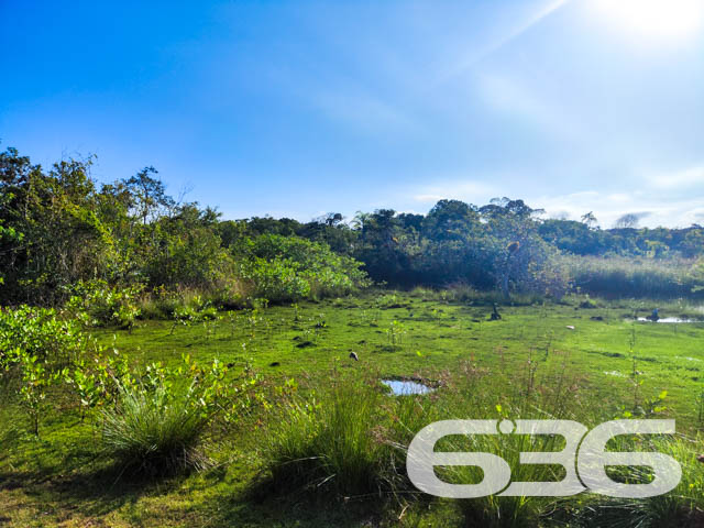 Foto de Casa Térrea Balneário Barra do Sul Pinheiros 03017855