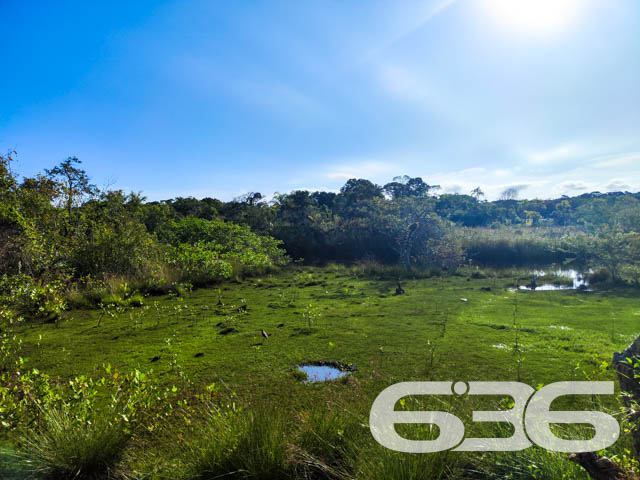 Foto de Casa Térrea Balneário Barra do Sul Pinheiros 03017855