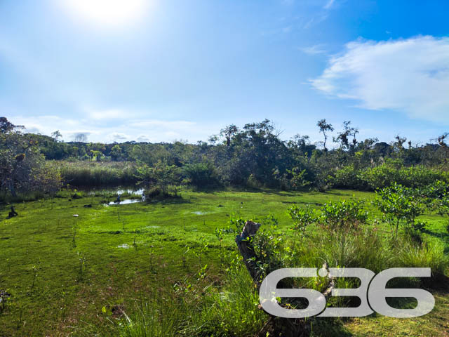 Foto de Casa Térrea Balneário Barra do Sul Pinheiros 03017855