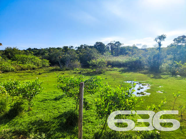 Foto de Casa Térrea Balneário Barra do Sul Pinheiros 03017855