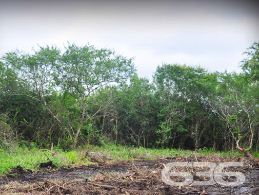 SEU TERRENO DOS SONHOS À VENDA NO BAIRRO PINHEIROS

Se você está em busca da oportunidade perfeita para construir o seu projeto à beira-mar, em um local de crescimento e experiências inesquecíveis para aproveitar em família, chegou a hora de conhecer este terreno incrível!

Apresentamos um terreno único à venda em Balneário Barra do Sul, com uma vista privilegiada para o rio e situado no loteamento Maria Fernanda, no bairro Pinheiros. Com uma generosa área de 592m², sendo 14 metros de frente, este lote plano e pronto para construção é a tela em branco que você precisa para dar vida ao projeto dos seus sonhos.

Aqui, você terá total liberdade para criar o espaço perfeito para desfrutar de momentos especiais à beira-mar. Com escritura pública, registro de imóveis e toda a infraestrutura necessária já presente, este terreno oferece a base sólida para transformar em realidade o seu projeto de casa na praia.

E sabe qual é a melhor parte? O parcelamento direto com a Imobiliária 636, tornando ainda mais acessível a aquisição desse espaço ideal. Aproveite essa oportunidade única para construir a casa que sempre imaginou, em um local repleto de beleza e tranquilidade que apenas a praia pode proporcionar.

Não perca tempo! Entre em contato agora mesmo e agende a sua visita. Venha vivenciar uma experiência única em Balneário Barra do Sul.

Telefone: (47) 3448-3636
WhatsApp: (47) 99190-0636

Imobiliária 636.
