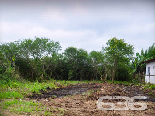 SEU TERRENO DOS SONHOS À VENDA NO BAIRRO PINHEIROS

Se você está em busca da oportunidade perfeita para construir o seu projeto à beira-mar, em um local de crescimento e experiências inesquecíveis para aproveitar em família, chegou a hora de conhecer este terreno incrível!

Apresentamos um terreno único à venda em Balneário Barra do Sul, com uma vista privilegiada para o rio e situado no loteamento Maria Fernanda, no bairro Pinheiros. Com uma generosa área de 592m², sendo 14 metros de frente, este lote plano e pronto para construção é a tela em branco que você precisa para dar vida ao projeto dos seus sonhos.

Aqui, você terá total liberdade para criar o espaço perfeito para desfrutar de momentos especiais à beira-mar. Com escritura pública, registro de imóveis e toda a infraestrutura necessária já presente, este terreno oferece a base sólida para transformar em realidade o seu projeto de casa na praia.

E sabe qual é a melhor parte? O parcelamento direto com a Imobiliária 636, tornando ainda mais acessível a aquisição desse espaço ideal. Aproveite essa oportunidade única para construir a casa que sempre imaginou, em um local repleto de beleza e tranquilidade que apenas a praia pode proporcionar.

Não perca tempo! Entre em contato agora mesmo e agende a sua visita. Venha vivenciar uma experiência única em Balneário Barra do Sul.

Telefone: (47) 3448-3636
WhatsApp: (47) 99190-0636

Imobiliária 636.