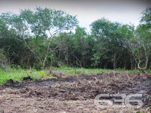 SEU TERRENO DOS SONHOS À VENDA NO BAIRRO PINHEIROS

Se você está em busca da oportunidade perfeita para construir o seu projeto à beira-mar, em um local de crescimento e experiências inesquecíveis para aproveitar em família, chegou a hora de conhecer este terreno incrível!

Apresentamos um terreno único à venda em Balneário Barra do Sul, com uma vista privilegiada para o rio e situado no loteamento Maria Fernanda, no bairro Pinheiros. Com uma generosa área de 592m², sendo 14 metros de frente, este lote plano e pronto para construção é a tela em branco que você precisa para dar vida ao projeto dos seus sonhos.

Aqui, você terá total liberdade para criar o espaço perfeito para desfrutar de momentos especiais à beira-mar. Com escritura pública, registro de imóveis e toda a infraestrutura necessária já presente, este terreno oferece a base sólida para transformar em realidade o seu projeto de casa na praia.

E sabe qual é a melhor parte? O parcelamento direto com a Imobiliária 636, tornando ainda mais acessível a aquisição desse espaço ideal. Aproveite essa oportunidade única para construir a casa que sempre imaginou, em um local repleto de beleza e tranquilidade que apenas a praia pode proporcionar.

Não perca tempo! Entre em contato agora mesmo e agende a sua visita. Venha vivenciar uma experiência única em Balneário Barra do Sul.

Telefone: (47) 3448-3636
WhatsApp: (47) 99190-0636

Imobiliária 636.