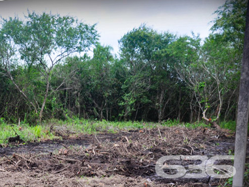 SEU TERRENO DOS SONHOS À VENDA NO BAIRRO PINHEIROS

Se você está em busca da oportunidade perfeita para construir o seu projeto à beira-mar, em um local de crescimento e experiências inesquecíveis para aproveitar em família, chegou a hora de conhecer este terreno incrível!

Apresentamos um terreno único à venda em Balneário Barra do Sul, com uma vista privilegiada para o rio e situado no loteamento Maria Fernanda, no bairro Pinheiros. Com uma generosa área de 592m², sendo 14 metros de frente, este lote plano e pronto para construção é a tela em branco que você precisa para dar vida ao projeto dos seus sonhos.

Aqui, você terá total liberdade para criar o espaço perfeito para desfrutar de momentos especiais à beira-mar. Com escritura pública, registro de imóveis e toda a infraestrutura necessária já presente, este terreno oferece a base sólida para transformar em realidade o seu projeto de casa na praia.

E sabe qual é a melhor parte? O parcelamento direto com a Imobiliária 636, tornando ainda mais acessível a aquisição desse espaço ideal. Aproveite essa oportunidade única para construir a casa que sempre imaginou, em um local repleto de beleza e tranquilidade que apenas a praia pode proporcionar.

Não perca tempo! Entre em contato agora mesmo e agende a sua visita. Venha vivenciar uma experiência única em Balneário Barra do Sul.

Telefone: (47) 3448-3636
WhatsApp: (47) 99190-0636

Imobiliária 636.