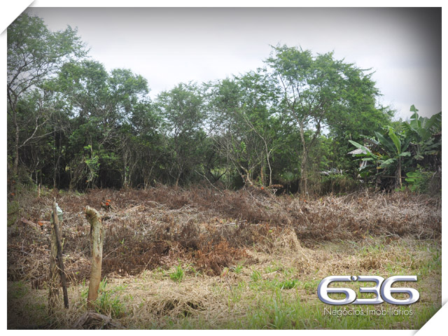SEU TERRENO DOS SONHOS À VENDA NO BAIRRO PINHEIROS

Se você está em busca da oportunidade perfeita para construir o seu projeto à beira-mar, em um local de crescimento e experiências inesquecíveis para aproveitar em família, chegou a hora de conhecer este terreno incrível!

Apresentamos um terreno único à venda em Balneário Barra do Sul, com uma vista privilegiada para o rio e situado no loteamento Maria Fernanda, no bairro Pinheiros. Com uma generosa área de 592m², sendo 14 metros de frente, este lote plano e pronto para construção é a tela em branco que você precisa para dar vida ao projeto dos seus sonhos.

Aqui, você terá total liberdade para criar o espaço perfeito para desfrutar de momentos especiais à beira-mar. Com escritura pública, registro de imóveis e toda a infraestrutura necessária já presente, este terreno oferece a base sólida para transformar em realidade o seu projeto de casa na praia.

E sabe qual é a melhor parte? O parcelamento direto com a Imobiliária 636, tornando ainda mais acessível a aquisição desse espaço ideal. Aproveite essa oportunidade única para construir a casa que sempre imaginou, em um local repleto de beleza e tranquilidade que apenas a praia pode proporcionar.

Não perca tempo! Entre em contato agora mesmo e agende a sua visita. Venha vivenciar uma experiência única em Balneário Barra do Sul.

Telefone: (47) 3448-3636
WhatsApp: (47) 99190-0636

Imobiliária 636.