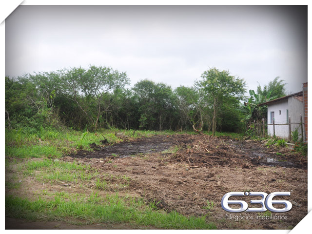 SEU TERRENO DOS SONHOS À VENDA NO BAIRRO PINHEIROS

Se você está em busca da oportunidade perfeita para construir o seu projeto à beira-mar, em um local de crescimento e experiências inesquecíveis para aproveitar em família, chegou a hora de conhecer este terreno incrível!

Apresentamos um terreno único à venda em Balneário Barra do Sul, com uma vista privilegiada para o rio e situado no loteamento Maria Fernanda, no bairro Pinheiros. Com uma generosa área de 592m², sendo 14 metros de frente, este lote plano e pronto para construção é a tela em branco que você precisa para dar vida ao projeto dos seus sonhos.

Aqui, você terá total liberdade para criar o espaço perfeito para desfrutar de momentos especiais à beira-mar. Com escritura pública, registro de imóveis e toda a infraestrutura necessária já presente, este terreno oferece a base sólida para transformar em realidade o seu projeto de casa na praia.

E sabe qual é a melhor parte? O parcelamento direto com a Imobiliária 636, tornando ainda mais acessível a aquisição desse espaço ideal. Aproveite essa oportunidade única para construir a casa que sempre imaginou, em um local repleto de beleza e tranquilidade que apenas a praia pode proporcionar.

Não perca tempo! Entre em contato agora mesmo e agende a sua visita. Venha vivenciar uma experiência única em Balneário Barra do Sul.

Telefone: (47) 3448-3636
WhatsApp: (47) 99190-0636

Imobiliária 636.