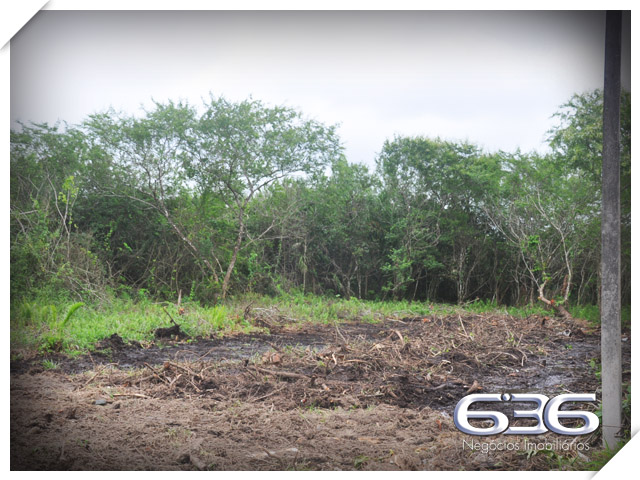 SEU TERRENO DOS SONHOS À VENDA NO BAIRRO PINHEIROS

Se você está em busca da oportunidade perfeita para construir o seu projeto à beira-mar, em um local de crescimento e experiências inesquecíveis para aproveitar em família, chegou a hora de conhecer este terreno incrível!

Apresentamos um terreno único à venda em Balneário Barra do Sul, com uma vista privilegiada para o rio e situado no loteamento Maria Fernanda, no bairro Pinheiros. Com uma generosa área de 592m², sendo 14 metros de frente, este lote plano e pronto para construção é a tela em branco que você precisa para dar vida ao projeto dos seus sonhos.

Aqui, você terá total liberdade para criar o espaço perfeito para desfrutar de momentos especiais à beira-mar. Com escritura pública, registro de imóveis e toda a infraestrutura necessária já presente, este terreno oferece a base sólida para transformar em realidade o seu projeto de casa na praia.

E sabe qual é a melhor parte? O parcelamento direto com a Imobiliária 636, tornando ainda mais acessível a aquisição desse espaço ideal. Aproveite essa oportunidade única para construir a casa que sempre imaginou, em um local repleto de beleza e tranquilidade que apenas a praia pode proporcionar.

Não perca tempo! Entre em contato agora mesmo e agende a sua visita. Venha vivenciar uma experiência única em Balneário Barra do Sul.

Telefone: (47) 3448-3636
WhatsApp: (47) 99190-0636

Imobiliária 636.