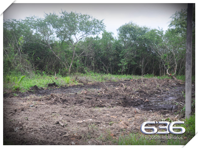 SEU TERRENO DOS SONHOS À VENDA NO BAIRRO PINHEIROS

Se você está em busca da oportunidade perfeita para construir o seu projeto à beira-mar, em um local de crescimento e experiências inesquecíveis para aproveitar em família, chegou a hora de conhecer este terreno incrível!

Apresentamos um terreno único à venda em Balneário Barra do Sul, com uma vista privilegiada para o rio e situado no loteamento Maria Fernanda, no bairro Pinheiros. Com uma generosa área de 592m², sendo 14 metros de frente, este lote plano e pronto para construção é a tela em branco que você precisa para dar vida ao projeto dos seus sonhos.

Aqui, você terá total liberdade para criar o espaço perfeito para desfrutar de momentos especiais à beira-mar. Com escritura pública, registro de imóveis e toda a infraestrutura necessária já presente, este terreno oferece a base sólida para transformar em realidade o seu projeto de casa na praia.

E sabe qual é a melhor parte? O parcelamento direto com a Imobiliária 636, tornando ainda mais acessível a aquisição desse espaço ideal. Aproveite essa oportunidade única para construir a casa que sempre imaginou, em um local repleto de beleza e tranquilidade que apenas a praia pode proporcionar.

Não perca tempo! Entre em contato agora mesmo e agende a sua visita. Venha vivenciar uma experiência única em Balneário Barra do Sul.

Telefone: (47) 3448-3636
WhatsApp: (47) 99190-0636

Imobiliária 636.