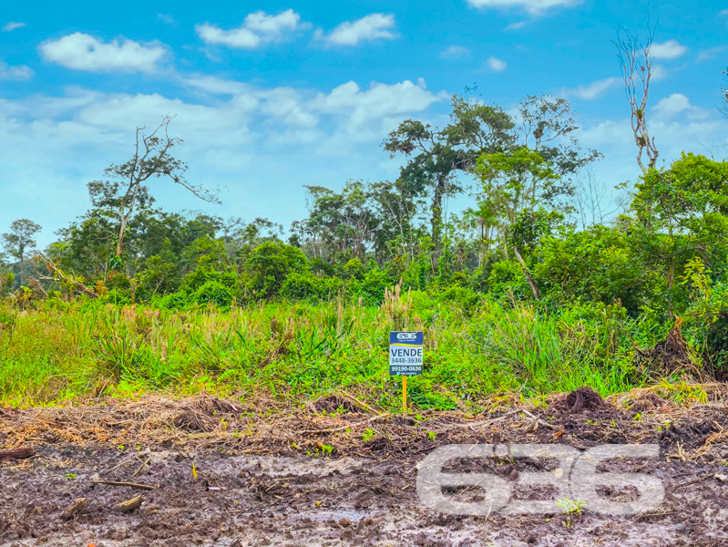 OPORTUNIDADE DE INVESTIMENTO A POUCOS MINUTOS DO MAR EM BALNEÁRIO BARRA DO SUL/SC!
Se você busca um terreno plano, com excelente metragem e localização estratégica para construir sua casa de praia ou investir com segurança, este lote é para você!
Localizado no bairro Salinas, em Balneário Barra do Sul/SC, este terreno conta com 360m² de área total. A região está em crescimento, com diversos imóveis novos no entorno, infraestrutura básica em expansão e a apenas minutos do mar.
As imagens destacam o potencial de desenvolvimento da região, com limpeza inicial já iniciada, vegetação nativa preservada nos fundos e diversos lotes vizinhos já vendidos. A vista aérea comprova: este é um dos últimos terrenos disponíveis em uma quadra promissora, a poucas quadras da orla!
Invista com segurança e respaldo técnico-jurídico em uma das imobiliárias mais tradicionais de Santa Catarina. Há mais de 30 anos, a 636 Negócios Imobiliários entrega resultados sólidos e negócios transparentes.
Agende sua visita com um de nossos corretores e garanta já seu espaço no litoral!
636 NEGÓCIOS IMOBILIÁRIOS: A SUA MELHOR ESCOLHA
Com mais de 30 anos de experiência, a 636 Negócios Imobiliários é sua parceira ideal para encontrar o imóvel perfeito. Estamos prontos para ajudá-lo a fazer deste imóvel o seu novo lar.
Telefone: (47) 3451-0636
WhatsApp: (47) 99190-0636
Não perca esta oportunidade única. Visite nosso site para mais informações: i636.com.br