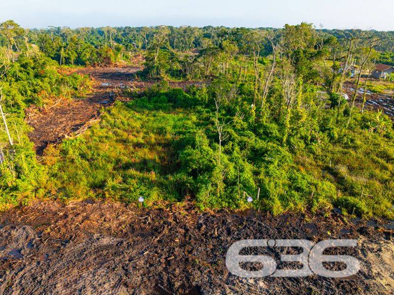 OPORTUNIDADE DE INVESTIMENTO A POUCOS MINUTOS DO MAR EM BALNEÁRIO BARRA DO SUL/SC!
Se você busca um terreno plano, com excelente metragem e localização estratégica para construir sua casa de praia ou investir com segurança, este lote é para você!
Localizado no bairro Salinas, em Balneário Barra do Sul/SC, este terreno conta com 360m² de área total. A região está em crescimento, com diversos imóveis novos no entorno, infraestrutura básica em expansão e a apenas minutos do mar.
As imagens destacam o potencial de desenvolvimento da região, com limpeza inicial já iniciada, vegetação nativa preservada nos fundos e diversos lotes vizinhos já vendidos. A vista aérea comprova: este é um dos últimos terrenos disponíveis em uma quadra promissora, a poucas quadras da orla!
Invista com segurança e respaldo técnico-jurídico em uma das imobiliárias mais tradicionais de Santa Catarina. Há mais de 30 anos, a 636 Negócios Imobiliários entrega resultados sólidos e negócios transparentes.
Agende sua visita com um de nossos corretores e garanta já seu espaço no litoral!
636 NEGÓCIOS IMOBILIÁRIOS: A SUA MELHOR ESCOLHA
Com mais de 30 anos de experiência, a 636 Negócios Imobiliários é sua parceira ideal para encontrar o imóvel perfeito. Estamos prontos para ajudá-lo a fazer deste imóvel o seu novo lar.
Telefone: (47) 3451-0636
WhatsApp: (47) 99190-0636
Não perca esta oportunidade única. Visite nosso site para mais informações: i636.com.br