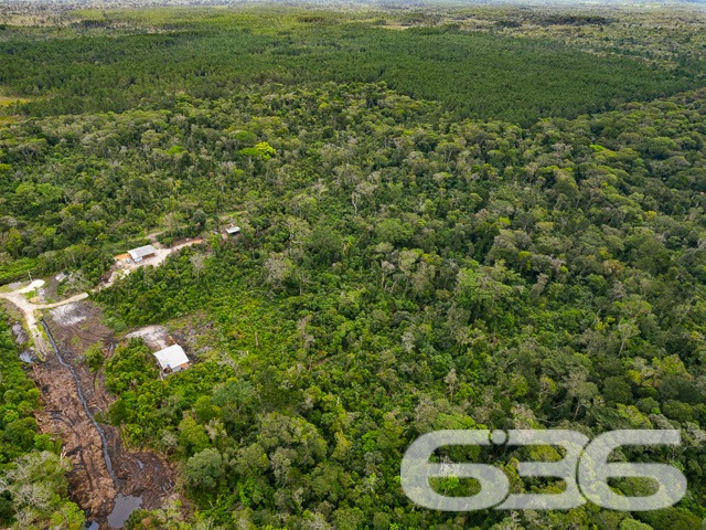 Terreno em Balneário Barra do Sul/SC: Um investimento estratégico entre a natureza e o mar
Você está em busca de um terreno perfeito para construir seu refúgio, seja para morar ou investir? Este é o momento de realizar o seu sonho! Localizado no charmoso bairro Salinas, em Balneário Barra do Sul/SC, este terreno reúne tudo o que você procura: tranquilidade, espaço e proximidade com a natureza.
Situado em uma área de grande valorização, o terreno está estrategicamente localizado no bairro Salinas, um dos mais procurados de Balneário Barra do Sul. A proximidade com o mar garante um estilo de vida que une lazer, bem-estar e natureza.
Possibilidade de integração com a natureza, seja para moradia ou negócios.
Excelente investimento para projetos de residências ou empreendimentos.
Se você procura um espaço para realizar o sonho de construir o lar ideal ou um projeto visionário, este é o momento! Entre em contato com nossos especialistas da 636 Negócios Imobiliários e agende uma visita para conhecer o local.
636 NEGÓCIOS IMOBILIÁRIOS: A SUA MELHOR ESCOLHA
Com mais de 30 anos de experiência, a 636 Negócios Imobiliários é sua parceira ideal para encontrar o imóvel perfeito. Estamos prontos para ajudá-lo a fazer deste imóvel o seu novo lar.
Telefone: (47) 3451-0636
WhatsApp: (47) 99190-0636
Não perca esta oportunidade única. Visite nosso site para mais informações: i636.com.br