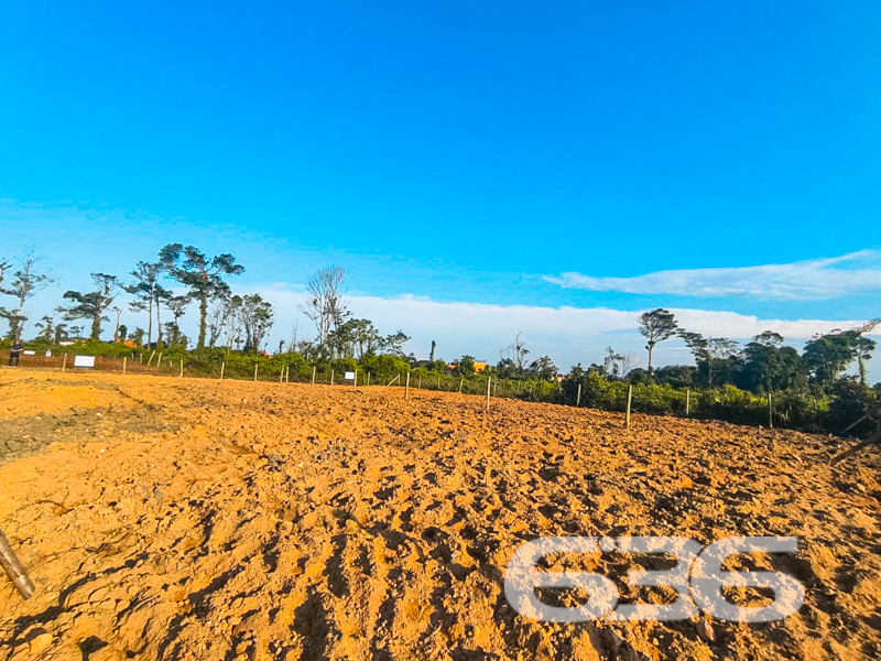 Terreno - Salinas - Balneário Barra do Sul