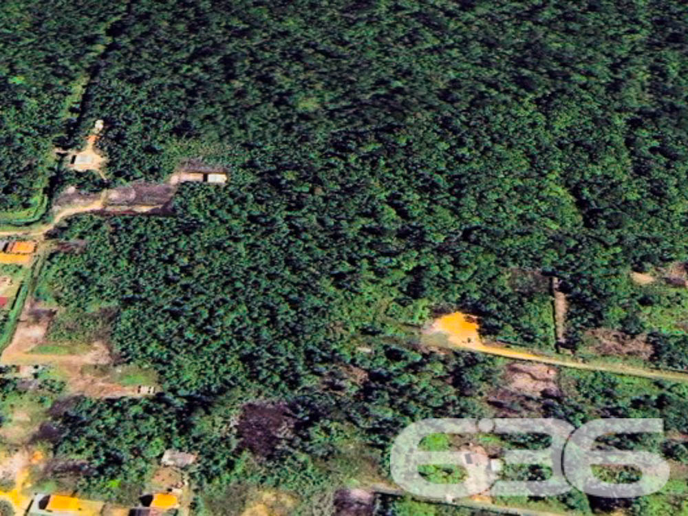 TERRENO À VENDA NO BAIRRO SALINAS - BALNEÁRIO BARRA DO SUL - APROVEITE ESTA GRANDE OPORTUNIDADE!

Descubra o local perfeito para investir no seu futuro em Balneário Barra do Sul! Este terreno com 439m² de área total oferece um espaço generoso para você.

ESPAÇO E POSSIBILIDADES:
Imagine as possibilidades que este terreno oferece! Com 439m², você tem espaço suficiente para uma casa espaçosa, um belo jardim e até mesmo uma área de lazer com piscina e churrasqueira. O céu é o limite quando se trata de personalizar este espaço ao seu gosto.

VIVA O MELHOR DO LITORAL CATARINENSE:
Localizado no bairro Salinas, desfrute da proximidade com praias deslumbrantes, restaurantes de frutos do mar e uma variedade de atividades aquáticas.

ESCOLHA A 636 NEGÓCIOS IMOBILIÁRIOS:
Com mais de 30 anos de experiência e um legado de excelência, a 636 Negócios Imobiliários é a sua parceira ideal para uma compra segura e eficiente.
Telefone: (47) 3448-3636
WhatsApp: (47) 99190-0636

Este e outros milhares de imóveis no site: i636.com.br