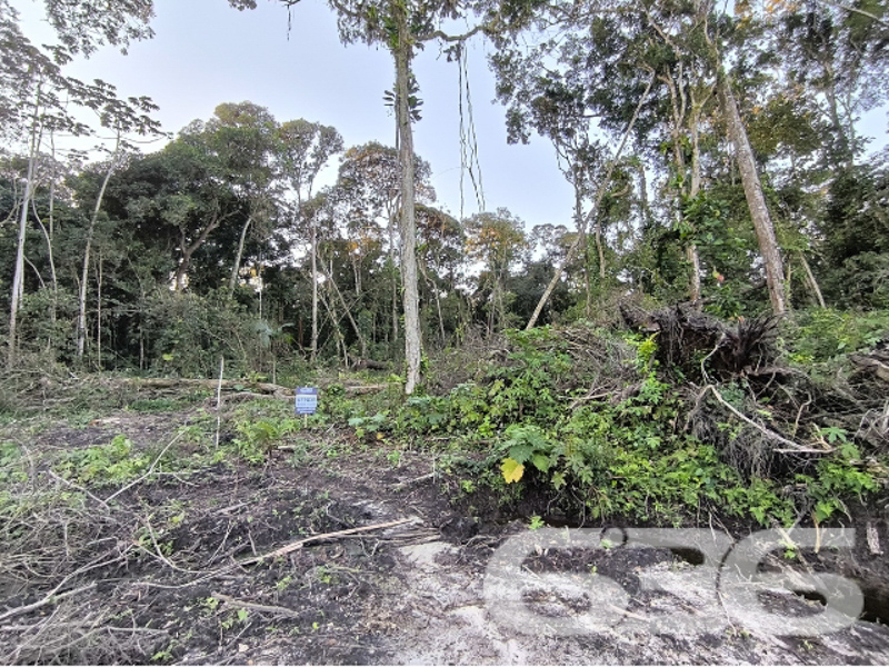Terreno - Salinas - Balneário Barra do Sul