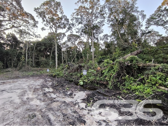 TERRENO NO BAIRRO SALINAS, EM BALNEÁRIO BARRA DO SUL.
Adquira seu imóvel na praia por um preço acessível. Temos diversas alternativas de financiamento com parcelas que cabem no seu orçamento!
Este é um excelente terreno, localizado a somente 1 km de distância da praia e a 5 km da lagoa Maria Fernanda, onde também usufrui da proximidade de mercados, panificadoras, lanchonetes, restaurantes e comércios em geral. O terreno detém 442m² de extensão, sendo 19m de frente.
Ficou interessado? O que você está esperando!? Entre já em contato conosco e agende sua visita para conhecer pessoalmente este imóvel! Você pode se apaixonar!
Consulte um de nossos corretores e saiba mais:
Telefone | 47 3448-3636
WhatsApp | 47 99190-0636
Imobiliária 636.
