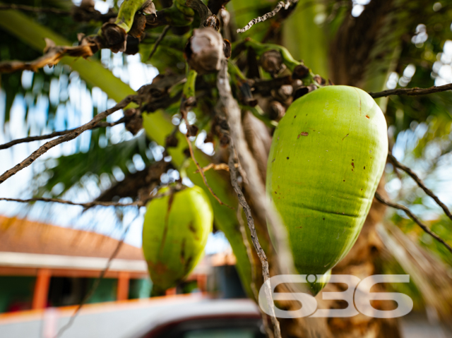 Descubra seu Novo Lar em Balneário Barra do Sul
Localizada no coração de Balneário Barra do Sul, esta charmosa residência térrea oferece uma combinação perfeita de conforto, conveniência e potencial. Com uma área construída de 70 m² em um terreno de 300,30 m², o imóvel promete ser o cenário ideal para criar momentos inesquecíveis.
Características do Imóvel:
Dormitórios: 2 espaçosos quartos que garantem privacidade e conforto para toda a família.
Banheiro: Equipado, oferecendo funcionalidade e praticidade.
Cozinha: Ampla e acolhedora, ideal para preparar suas refeições com facilidade e conforto.
Áreas de Serviço: Práticas e bem dimensionadas para facilitar o dia a dia.
Garagem: Espaço para 6 veículos descobertos e mais uma garagem coberta, garantindo segurança para seus automóveis.
Churrasqueira: Perfeita para reunir amigos e família em momentos especiais.
Localização Privilegiada:
Investimento Ideal: Este imóvel não apenas serve como um lar acolhedor, mas também representa uma excelente oportunidade de investimento, graças à sua localização estratégica no centro de Balneário Barra do Sul. Aproveite a chance de viver em uma área que combina a tranquilidade de uma cidade praiana com a conveniência de ter acesso rápido a serviços e infraestrutura.
Transforme esta residência no seu novo lar ou em um investimento promissor. Agende sua visita e venha conhecer o potencial completo deste imóvel único!
636 NEGÓCIOS IMOBILIÁRIOS: A SUA MELHOR ESCOLHA
Com mais de 30 anos de experiência, a 636 Negócios Imobiliários é sua parceira ideal para encontrar o imóvel perfeito. Estamos prontos para ajudá-lo a fazer deste imóvel o seu novo lar.
Telefone: (47) 3451-0636
WhatsApp: (47) 99190-0636
Não perca esta oportunidade única. Visite nosso site para mais informações: i636.com.br