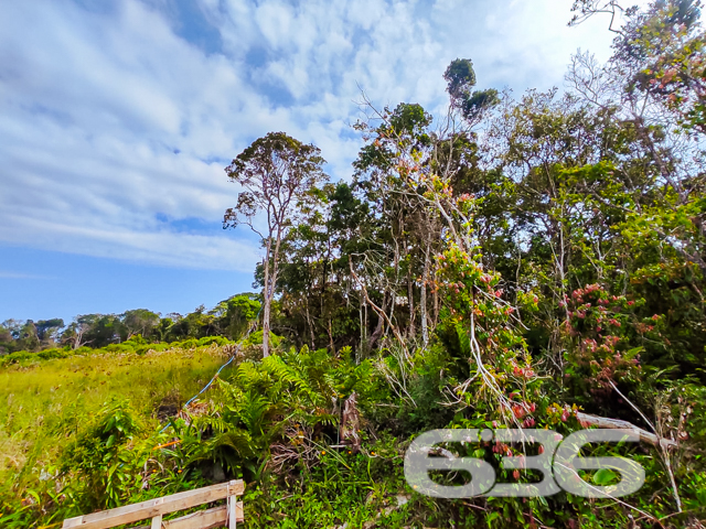 Você está em busca de um terreno para investir com segurança, construir sua casa dos sonhos ou garantir qualidade de vida em meio à natureza? Então preste atenção nesta excelente oportunidade que a 636 Negócios Imobiliários separou para você!

Localizado no bairro Ervino, em São Francisco do Sul/SC, este terreno possui 360m² de área total.

O imóvel está inserido em uma região de tranquilidade absoluta, rodeado por muita vegetação nativa e ar puro, a poucos minutos de belas praias preservadas, característica marcante do Ervino — bairro que vem crescendo com planejamento e atraindo famílias e investidores em busca de paz, segurança e qualidade de vida.

Outro diferencial é a sua posição solar oeste, que garante ótima iluminação natural no período da tarde, agregando conforto térmico e valorizando qualquer projeto arquitetônico. 

Se você valoriza contato com a natureza, sossego e uma compra segura, este é o terreno certo. E com o suporte completo da equipe 636, com mais de 30 anos de credibilidade, você conta com atendimento técnico, jurídico e comercial especializado do início ao fim da negociação.

Invista onde há potencial. Fale agora com a 636 e agende sua visita!
 
636 NEGÓCIOS IMOBILIÁRIOS: A SUA MELHOR ESCOLHA
Com mais de 30 anos de experiência, a 636 Negócios Imobiliários é sua parceira ideal para encontrar o imóvel perfeito. Estamos prontos para ajudá-lo a fazer deste imóvel o seu novo lar.
 
Telefone: (47) 3451-0636
WhatsApp: (47) 99190-0636
 
Não perca esta oportunidade única. Visite nosso site para mais informações: i636.com.br