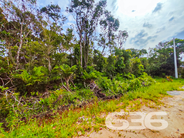 Você está em busca de um terreno para investir com segurança, construir sua casa dos sonhos ou garantir qualidade de vida em meio à natureza? Então preste atenção nesta excelente oportunidade que a 636 Negócios Imobiliários separou para você!

Localizado no bairro Ervino, em São Francisco do Sul/SC, este terreno possui 360m² de área total.

O imóvel está inserido em uma região de tranquilidade absoluta, rodeado por muita vegetação nativa e ar puro, a poucos minutos de belas praias preservadas, característica marcante do Ervino — bairro que vem crescendo com planejamento e atraindo famílias e investidores em busca de paz, segurança e qualidade de vida.

Outro diferencial é a sua posição solar oeste, que garante ótima iluminação natural no período da tarde, agregando conforto térmico e valorizando qualquer projeto arquitetônico. 

Se você valoriza contato com a natureza, sossego e uma compra segura, este é o terreno certo. E com o suporte completo da equipe 636, com mais de 30 anos de credibilidade, você conta com atendimento técnico, jurídico e comercial especializado do início ao fim da negociação.

Invista onde há potencial. Fale agora com a 636 e agende sua visita!
 
636 NEGÓCIOS IMOBILIÁRIOS: A SUA MELHOR ESCOLHA
Com mais de 30 anos de experiência, a 636 Negócios Imobiliários é sua parceira ideal para encontrar o imóvel perfeito. Estamos prontos para ajudá-lo a fazer deste imóvel o seu novo lar.
 
Telefone: (47) 3451-0636
WhatsApp: (47) 99190-0636
 
Não perca esta oportunidade única. Visite nosso site para mais informações: i636.com.br