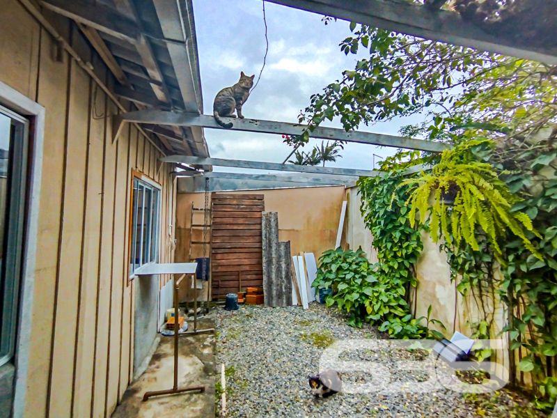 VENDE-SE IMÓVEL COM POMAR NO BAIRRO COSTEIRA, BALNEÁRIO BARRA DO SUL

Descubra o charme rústico desta casa de madeira, situada no tranquilo bairro Costeira em Balneário Barra do Sul. Com um terreno de 240m² e 70m² de área construída, esta propriedade oferece 3 dormitórios, banheiro, uma acolhedora sala de estar, cozinha, edícula e despensa.

O jardim, cuidadosamente mantido, e um pomar na frente do terreno adicionam um toque especial de natureza e tranquilidade ao lar.

Localizada em uma rua pavimentada e segura, esta casa está estrategicamente posicionada perto do posto de saúde, escolas e serviços públicos essenciais, garantindo comodidade para sua família.

O terreno todo murado oferece privacidade, enquanto a conexão com a internet assegura que você permaneça conectado.

Com mais de 30 anos de experiência, a 636 Negócios Imobiliários é especialista em transformar sonhos em realidade. Se você busca um refúgio tranquilo, com a simplicidade e a beleza da vida junto à natureza, esta é sua chance de investir em um imóvel com potencial ilimitado.

Telefone: (47) 3448-3636
WhatsApp: (47) 99190-0636

Não perca esta oportunidade única de viver em harmonia com a natureza em Balneário Barra do Sul. Para mais informações, acesse: i636.com.br