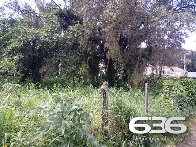Foto de Terreno Joinville Glória 01029825
