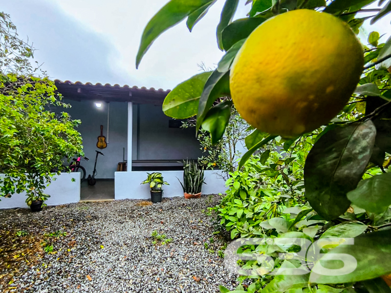 Residência térrea à venda no bairro Comasa – Joinville/SC
Mais que uma casa, um verdadeiro lar para quem valoriza conforto, espaço e praticidade!

Apresentamos essa encantadora residência térrea, localizada em rua pavimentada no bairro Comasa, um dos pontos mais procurados por famílias que buscam tranquilidade e fácil acesso a comércios, escolas, transporte público, serviços essenciais e posto de saúde. Um imóvel que traduz funcionalidade com estilo!

Com 166m² de área construída em um terreno com 353,70m², esta casa oferece ambientes amplos, bem iluminados e uma estrutura sólida. A fachada apresenta acabamento em pedra natural e portão eletrônico, garantindo segurança e charme logo na entrada.

São 3 dormitórios confortáveis, uma sala de estar espaçosa, sala íntima e uma cozinha funcional com móveis planejados que permanecem no imóvel. A lavanderia é ampla e bem arejada, ideal para o dia a dia.

Os dois banheiros são maiores que o tradicional, proporcionando mais conforto. Na área externa, um verdadeiro convite ao lazer: área de festas com churrasqueira e decoração temática, além de um fogão a lenha que dá um toque especial para os momentos em família. A edícula agrega ainda mais valor e possibilidades ao imóvel.

A garagem coberta comporta 1 veículo, com espaço descoberto para mais. O quintal possui jardim e é totalmente murado com grades, garantindo segurança e privacidade. O imóvel também conta com ar-condicionado instalado e conexão de internet via fibra. Pet friendly e ideal para quem quer qualidade de vida!

Não perca essa excelente oportunidade de morar bem em Joinville. Entre em contato com a 636 Negócios Imobiliários e agende sua visita.
Porque só se constrói uma grande história em um grande lar.

Fale com um de nossos corretores e venha conhecer pessoalmente este imóvel especial!
 
636 NEGÓCIOS IMOBILIÁRIOS: A SUA MELHOR ESCOLHA
Com mais de 30 anos de experiência, a 636 Negócios Imobiliários é sua parceira ideal para encontrar o imóvel perfeito. Estamos prontos para ajudá-lo a fazer deste imóvel o seu novo lar.
 
Telefone: (47) 3451-0636
WhatsApp: (47) 99190-0636
 
Não perca esta oportunidade única. Visite nosso site para mais informações: i636.com.br