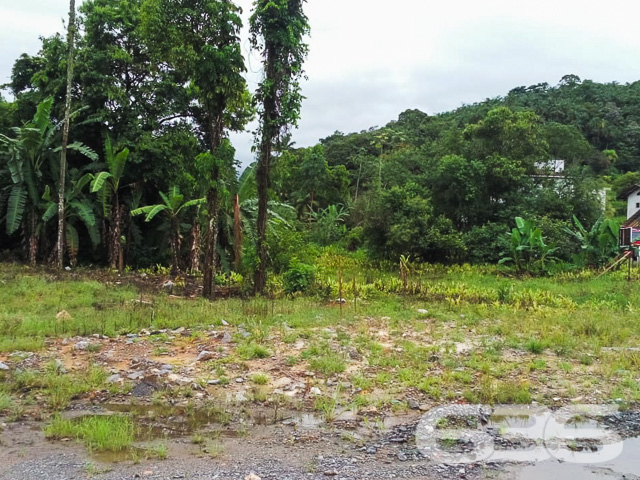 Terreno - Vila Nova - Joinville