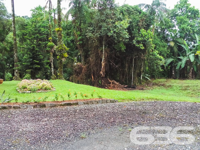 Terreno - Vila Nova - Joinville