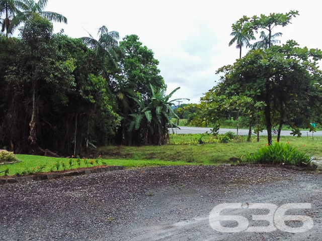 Terreno - Vila Nova - Joinville