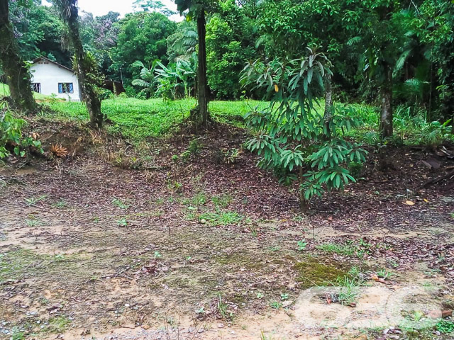 Terreno - Vila Nova - Joinville