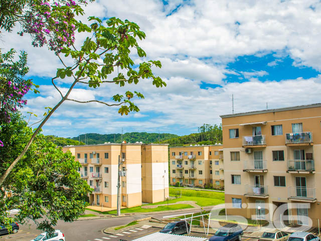 Foto de Apartamento Joinville João Costa 01034821