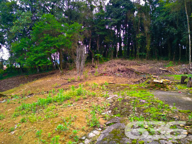 Foto de Terreno Joinville Bom Retiro 01031499