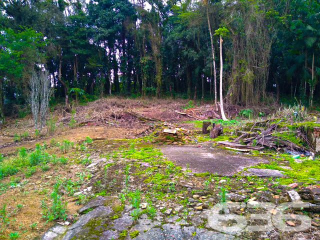 Foto de Terreno Joinville Bom Retiro 01031499