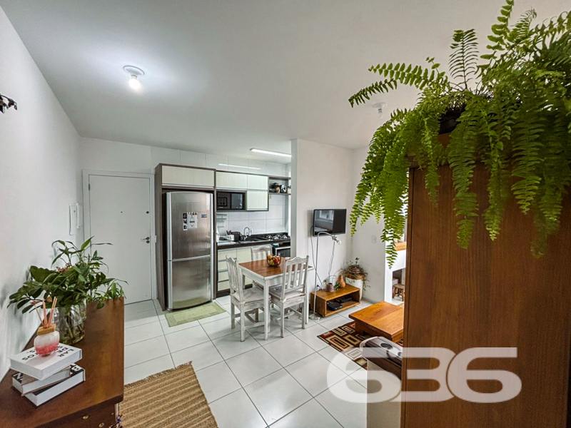 Apartamento - Floresta - Joinville