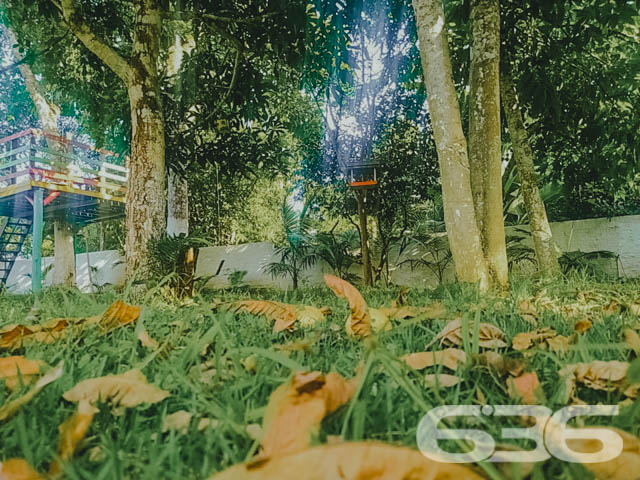 Foto de Chácara/Sítio Balneário Barra do Sul Pinheiros 03018871