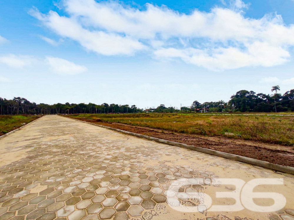 Terreno - Ervino - São Francisco do Sul