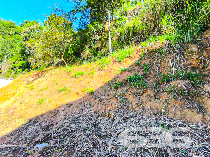 Foto de Terreno Joinville Itaum 01036017