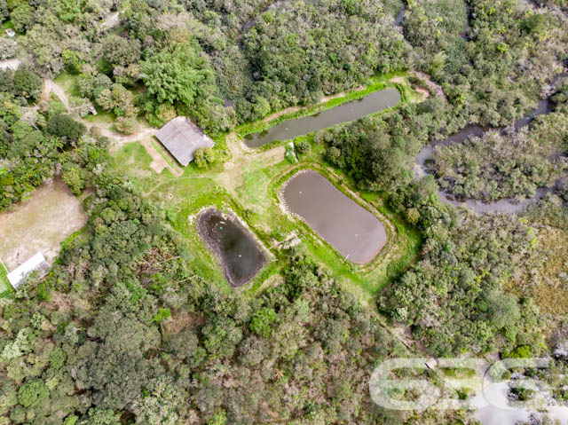 Foto de Terreno Araquari Areias Pequenas 03016328