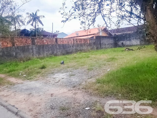 Foto de Terreno Joinville Floresta 08011658