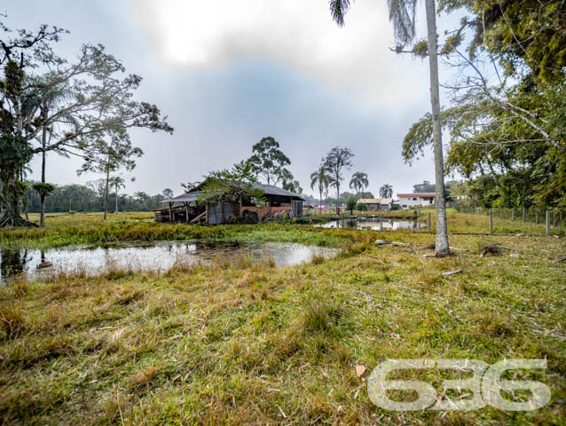 Foto de Chácara/Sítio Balneário Barra do Sul Pinheiros 08011628