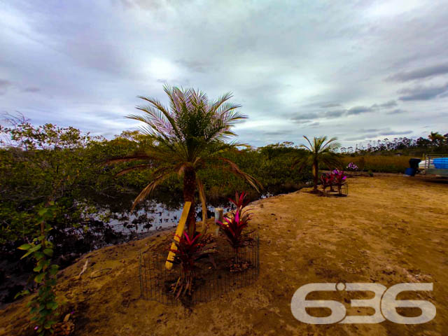 Foto de Chácara/Sítio Balneário Barra do Sul Pinheiros 03016813