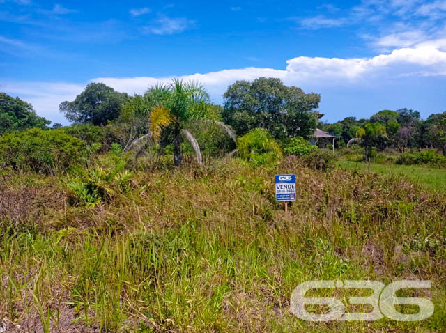 INVISTA NO SEU FUTURO COM ESTE TERRENO NA PRAIA DO ERVINO!
Situado no bairro Ervino, em São Francisco do Sul, no estado de Santa Catarina, uma pequena ilha localizada bem próxima ao continente e a apenas 1 hora de Joinville. Devido a sua geografia, a cidade ganhou paisagens naturais encantadoras, com o mar rodeando todo o seu território.
São 360m² de terreno, sendo 12m² de frente e 30m² de lados. Terreno amplo e em boas condições. Com ótima localização. Perfeito para você que quer começar aquela construção dos sonhos!
Terreno próximo de estabelecimentos e comércios que facilitam seu dia a dia, aproximadamente na mesma distância entre a lagoa e a praia da região. A lagoa conta com acesso para embarcações.
E, aí gostou? Quer conhecer mais sobre esse vantajoso investimento? Então consulte um de nossos corretores e saiba mais.
Esperamos por você!!!
Fale conosco:
IMOBILIÁRIA 636.
Telefone: (47) 3448-3636
WhatsApp: (47) 99190-0636