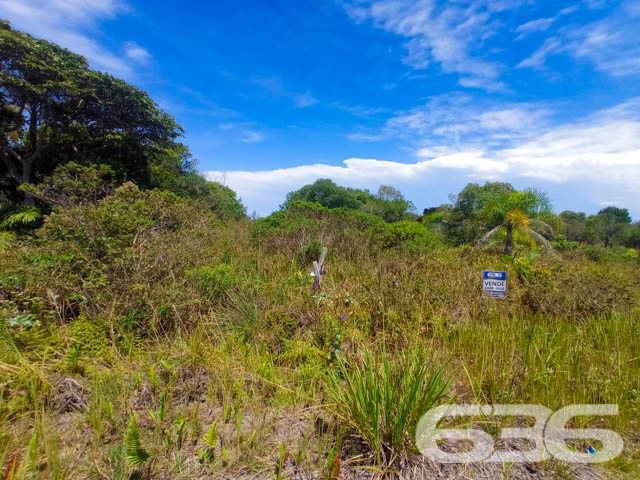 INVISTA NO SEU FUTURO COM ESTE TERRENO NA PRAIA DO ERVINO!
Situado no bairro Ervino, em São Francisco do Sul, no estado de Santa Catarina, uma pequena ilha localizada bem próxima ao continente e a apenas 1 hora de Joinville. Devido a sua geografia, a cidade ganhou paisagens naturais encantadoras, com o mar rodeando todo o seu território.
São 360m² de terreno, sendo 12m² de frente e 30m² de lados. Terreno amplo e em boas condições. Com ótima localização. Perfeito para você que quer começar aquela construção dos sonhos!
Terreno próximo de estabelecimentos e comércios que facilitam seu dia a dia, aproximadamente na mesma distância entre a lagoa e a praia da região. A lagoa conta com acesso para embarcações.
E, aí gostou? Quer conhecer mais sobre esse vantajoso investimento? Então consulte um de nossos corretores e saiba mais.
Esperamos por você!!!
Fale conosco:
IMOBILIÁRIA 636.
Telefone: (47) 3448-3636
WhatsApp: (47) 99190-0636