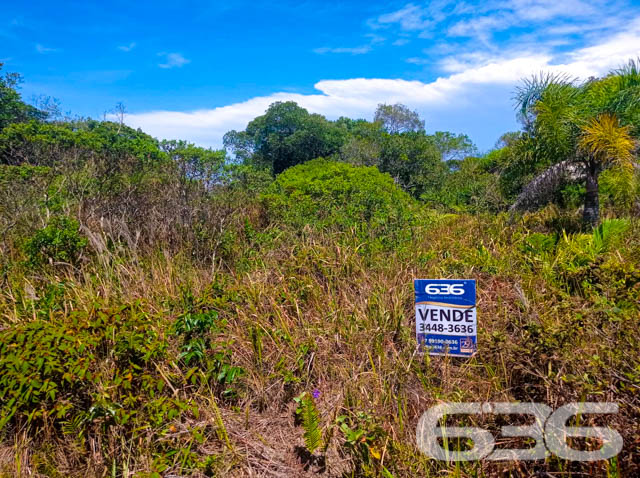 INVISTA NO SEU FUTURO COM ESTE TERRENO NA PRAIA DO ERVINO!
Situado no bairro Ervino, em São Francisco do Sul, no estado de Santa Catarina, uma pequena ilha localizada bem próxima ao continente e a apenas 1 hora de Joinville. Devido a sua geografia, a cidade ganhou paisagens naturais encantadoras, com o mar rodeando todo o seu território.
São 360m² de terreno, sendo 12m² de frente e 30m² de lados. Terreno amplo e em boas condições. Com ótima localização. Perfeito para você que quer começar aquela construção dos sonhos!
Terreno próximo de estabelecimentos e comércios que facilitam seu dia a dia, aproximadamente na mesma distância entre a lagoa e a praia da região. A lagoa conta com acesso para embarcações.
E, aí gostou? Quer conhecer mais sobre esse vantajoso investimento? Então consulte um de nossos corretores e saiba mais.
Esperamos por você!!!
Fale conosco:
IMOBILIÁRIA 636.
Telefone: (47) 3448-3636
WhatsApp: (47) 99190-0636